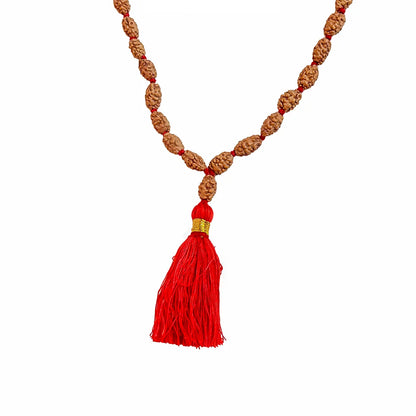 2 Mukhi Rudraksha Mala