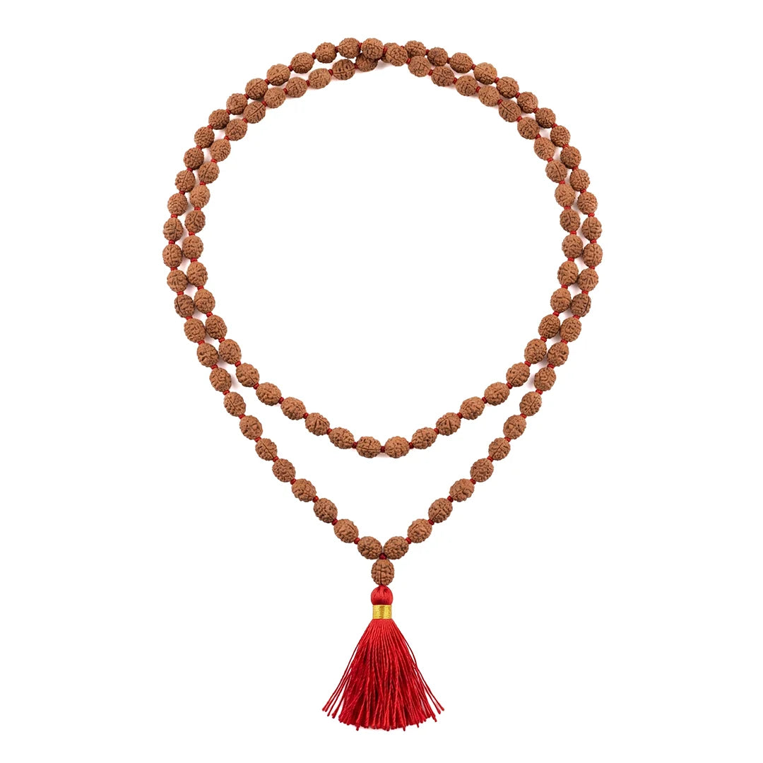 2 Mukhi Rudraksha Mala